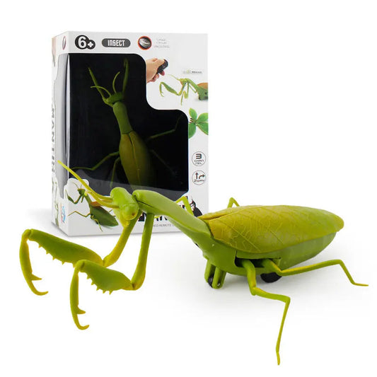 Mante Religieuse Radiocommandée - RC Télécommandé