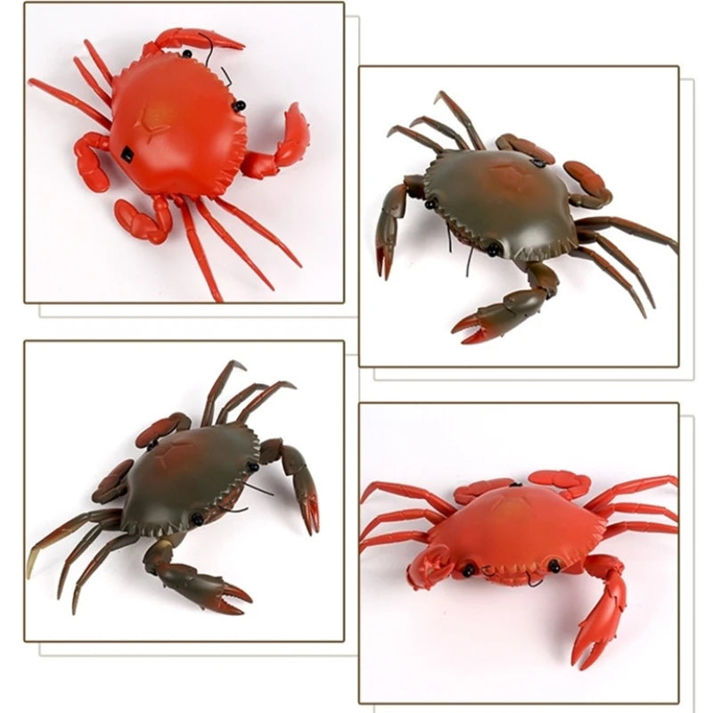 Crabe Radiocommandé - RC Télécommandé