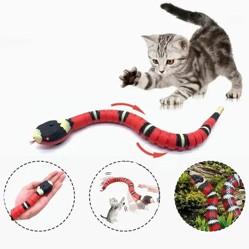 Serpent Télécomandé - RC Télécommandé