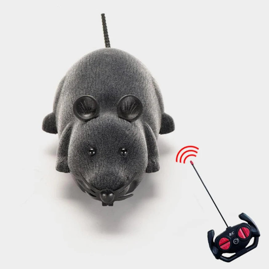 Rat Télécommandé (Jouet pour Chat) - RC Télécommandé