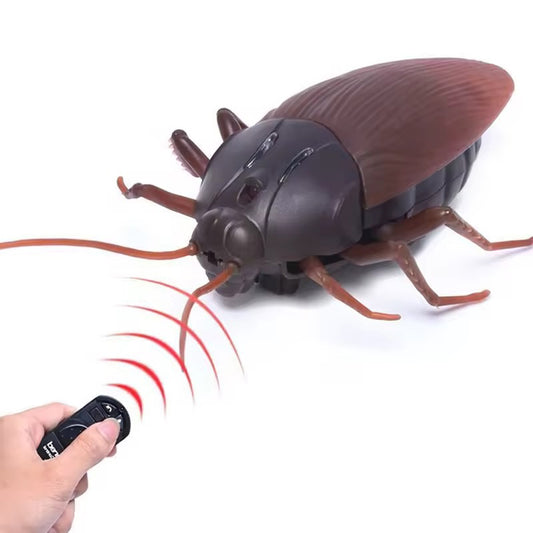 Cafard Blatte Radiocommandé - RC Télécommandé