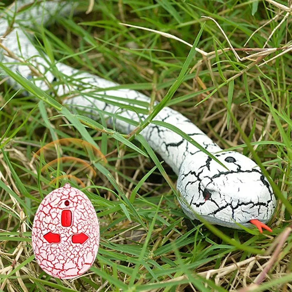 Serpent Télécomandé - RC Télécommandé