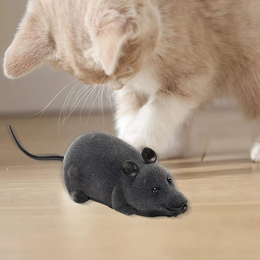 Rat Télécommandé (Jouet pour Chat) - RC Télécommandé