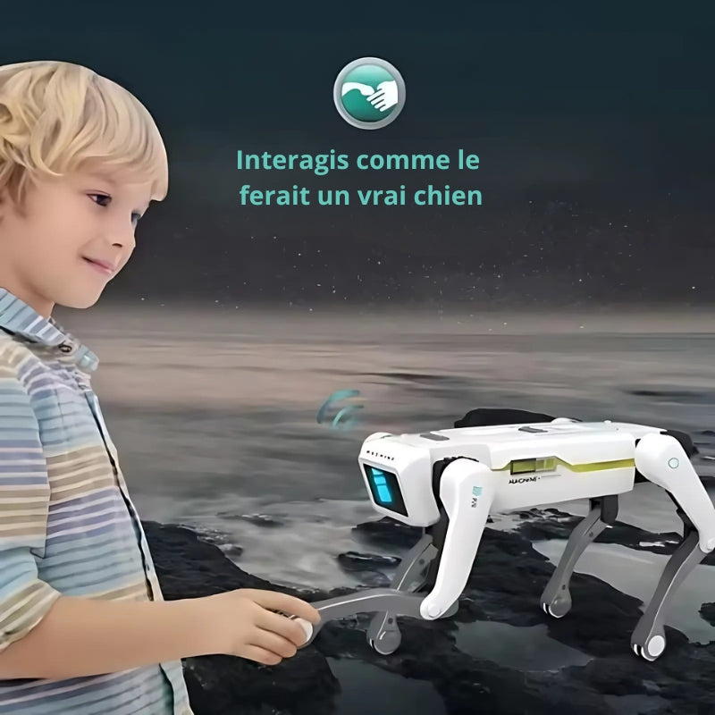 Robot Chien de Combat Télécommandé - RC Télécommandé