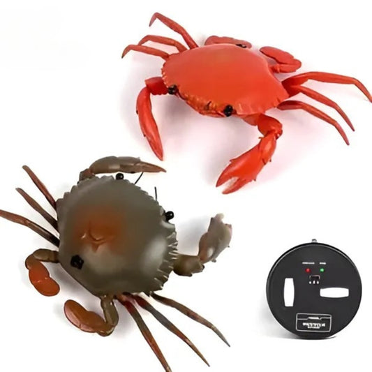 Crabe Radiocommandé - RC Télécommandé