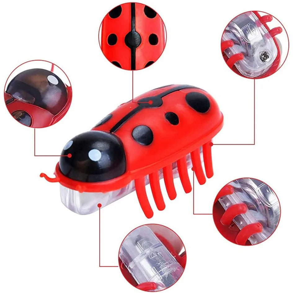Coccinelle Électrique Hexbug Nano (Jouet pour Chat) - RC Télécommandé