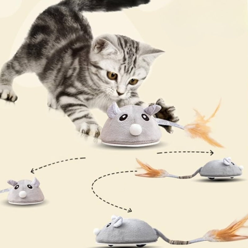 Souris Télécommandée (Jouet pour Chat) - RC Télécommandé