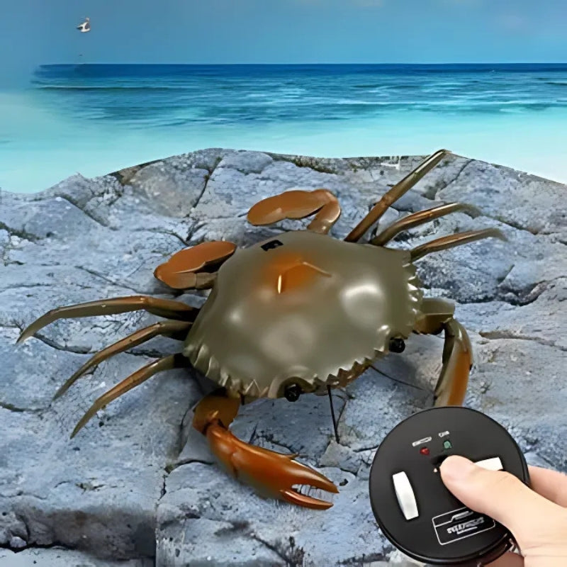 Crabe Radiocommandé - RC Télécommandé