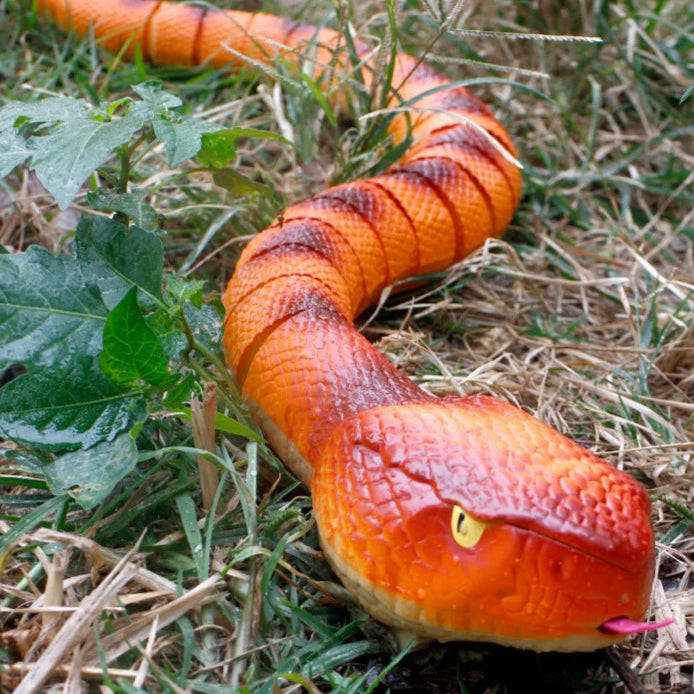 Serpent Géant Télécommandé - RC Télécommandé