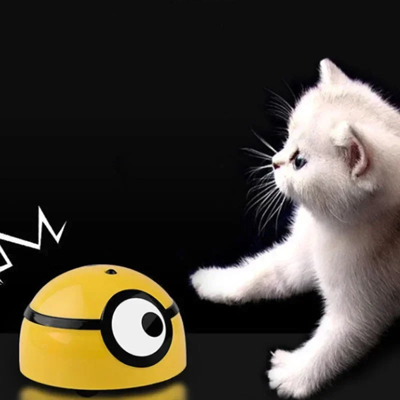 Tête de Mignon (Jouet pour Chat) - RC Télécommandé