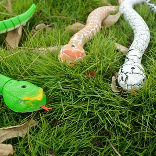 Serpent Télécomandé - RC Télécommandé