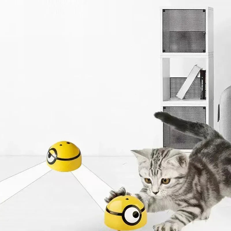 Tête de Mignon (Jouet pour Chat) - RC Télécommandé
