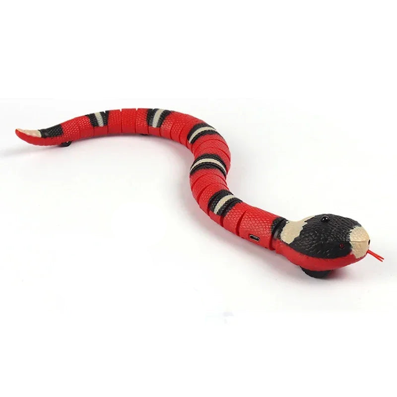 Serpent Télécomandé - RC Télécommandé