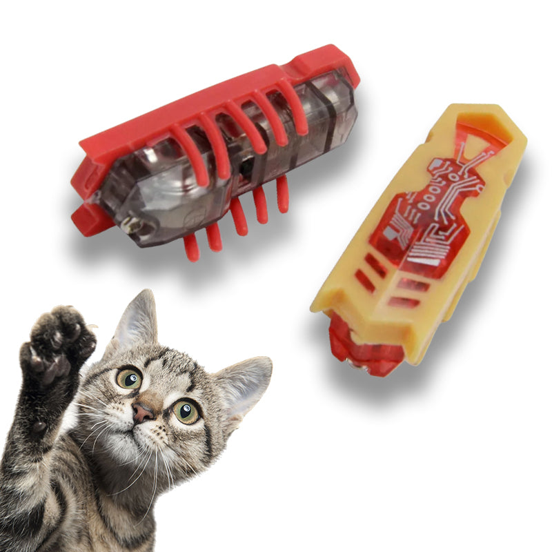 Hexbug Nano Robot Insecte (Jouet pour Chat) - RC Télécommandé