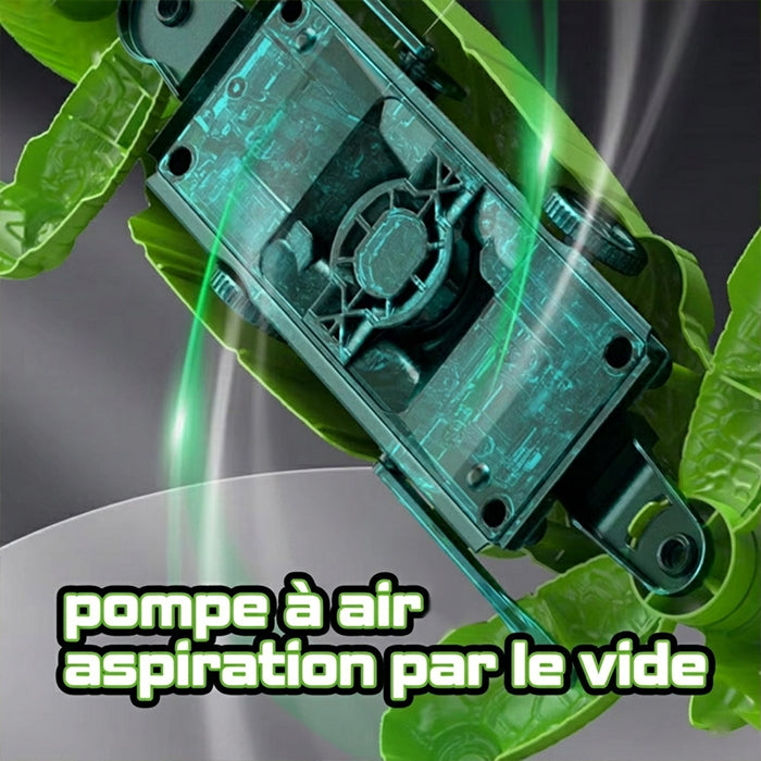 Gecko Télécommandé