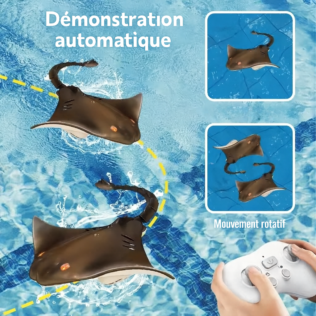 Raie Manta Télécommandée