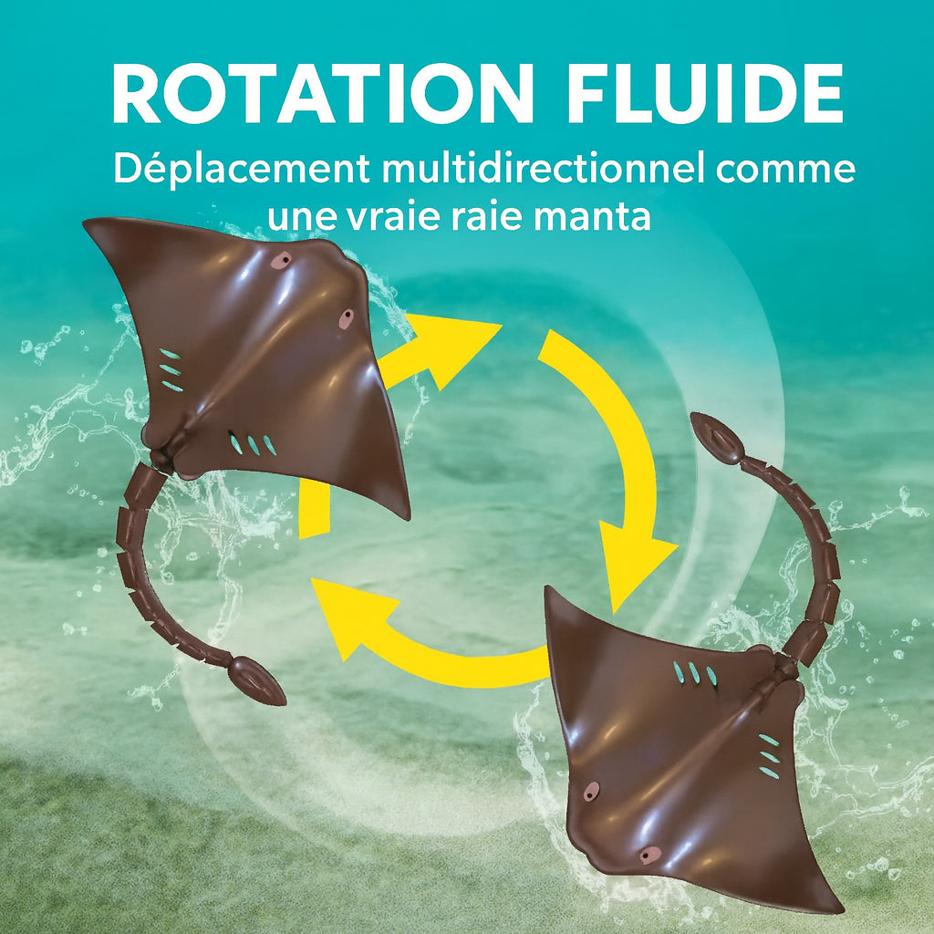 Raie Manta Télécommandée